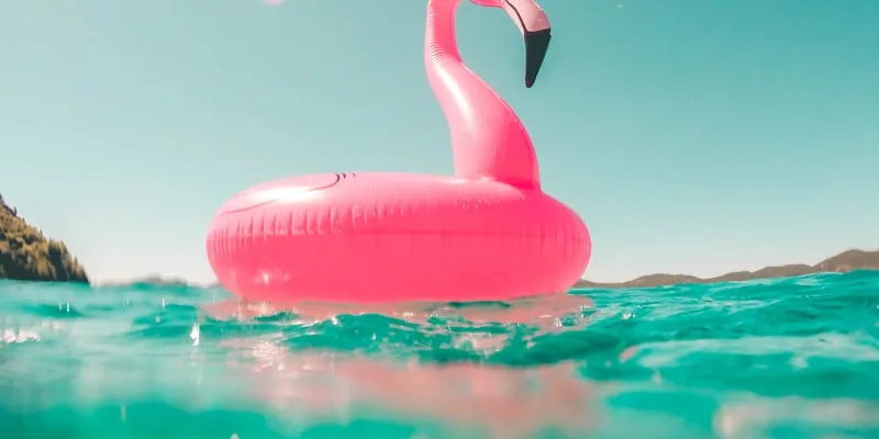 Guia Completo de Aquapaisagismo: Técnicas e Materiais