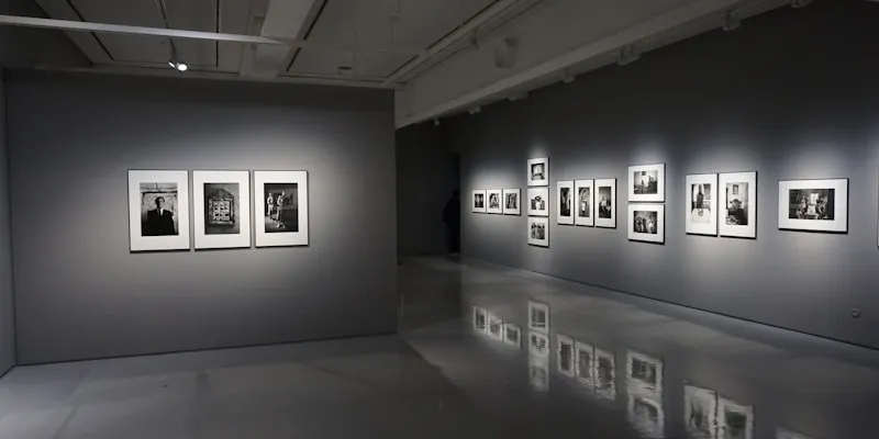 CO2 para Aquário Plantado: DIY vs Pressurizado