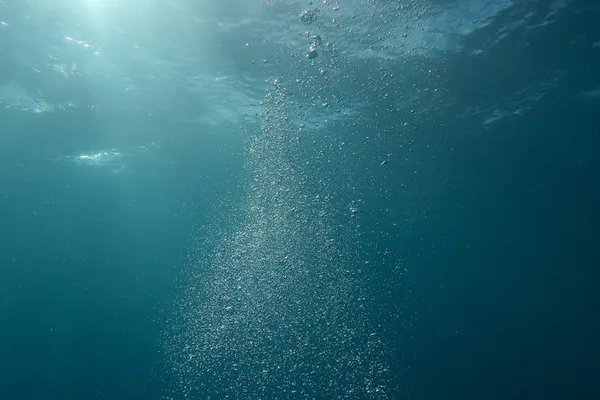 Bombas e Circulação